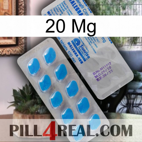 20Mg new15.jpg